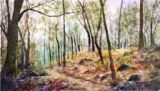 62 - Walk in the Woods - Watercolour - Maureen Scott.JPG